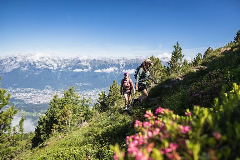 Savoie Mont Blanc 6x herfst tips