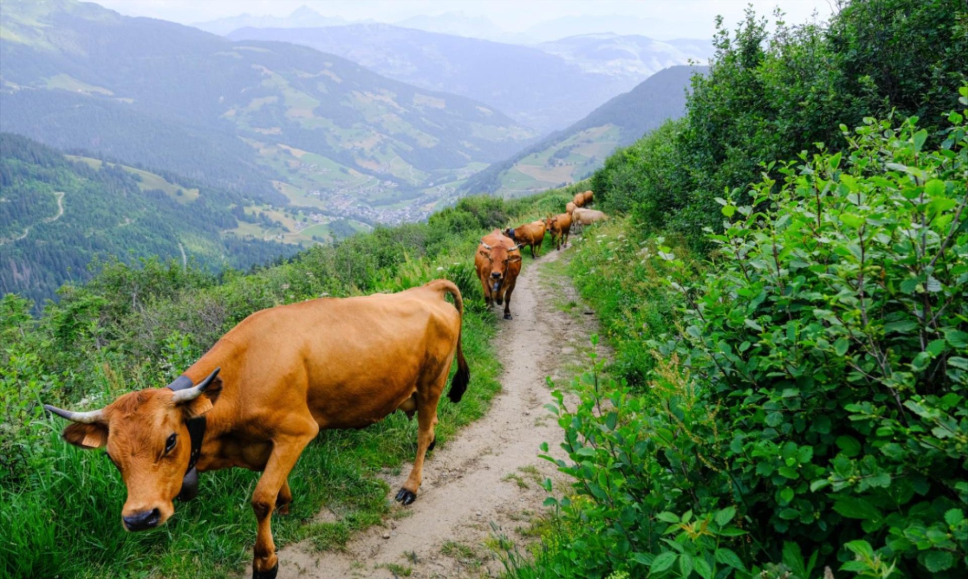 Savoie Mont Blanc 6x herfst tips